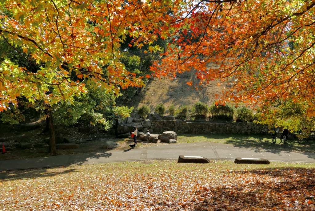 紅葉狩り