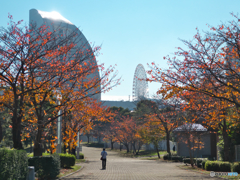 精一杯の横浜の秋2