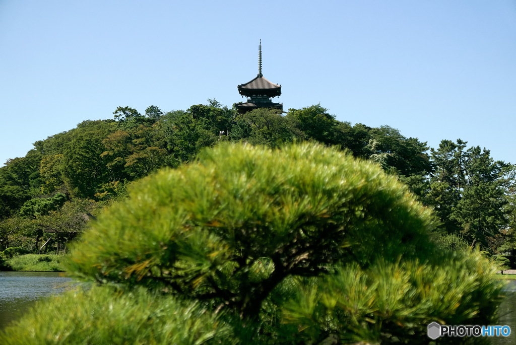 横浜三渓園