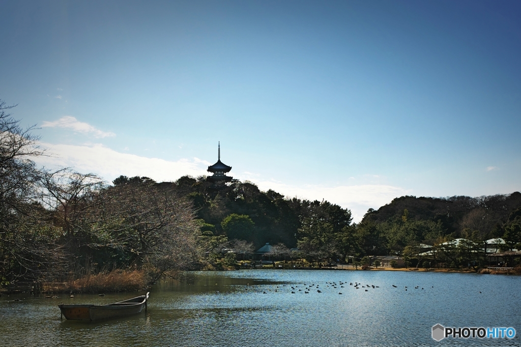 横浜三渓園全景
