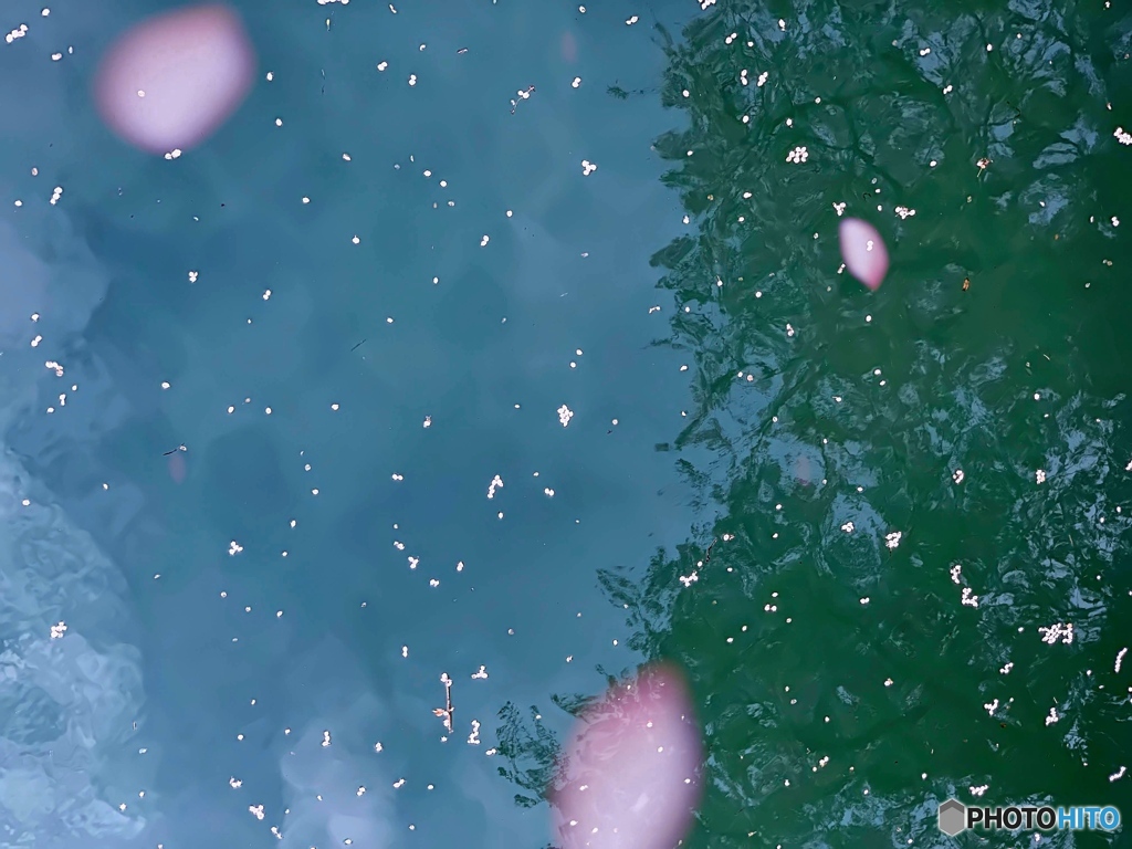花筏の星
