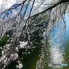 目黒川