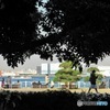 山下公園