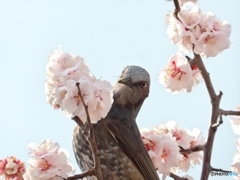 え? 鼻毛が出てるって??