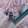 今年もありがとう
