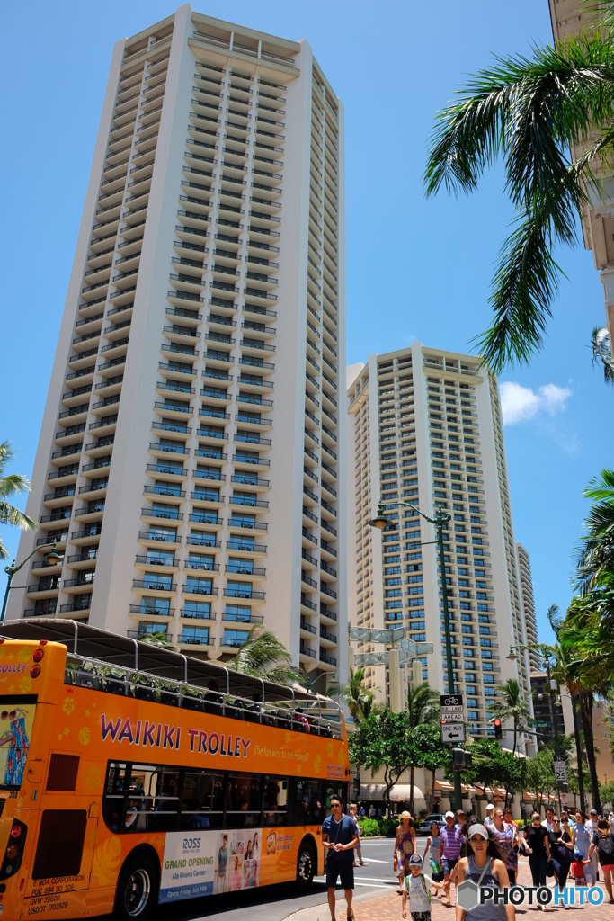 Hello Waikiki