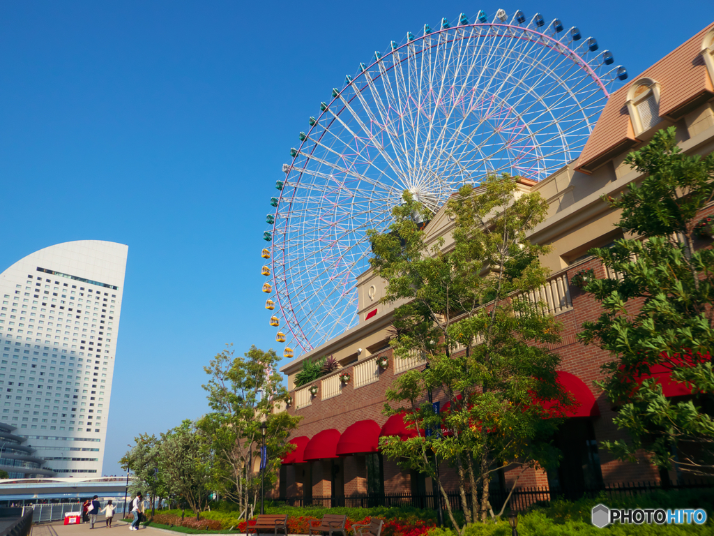 秋晴の横浜