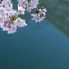 桜2021