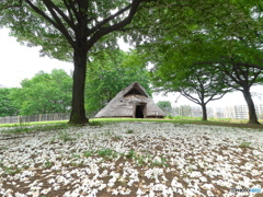 大塚・歳勝土遺跡公園