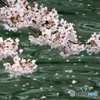 風の強い日に