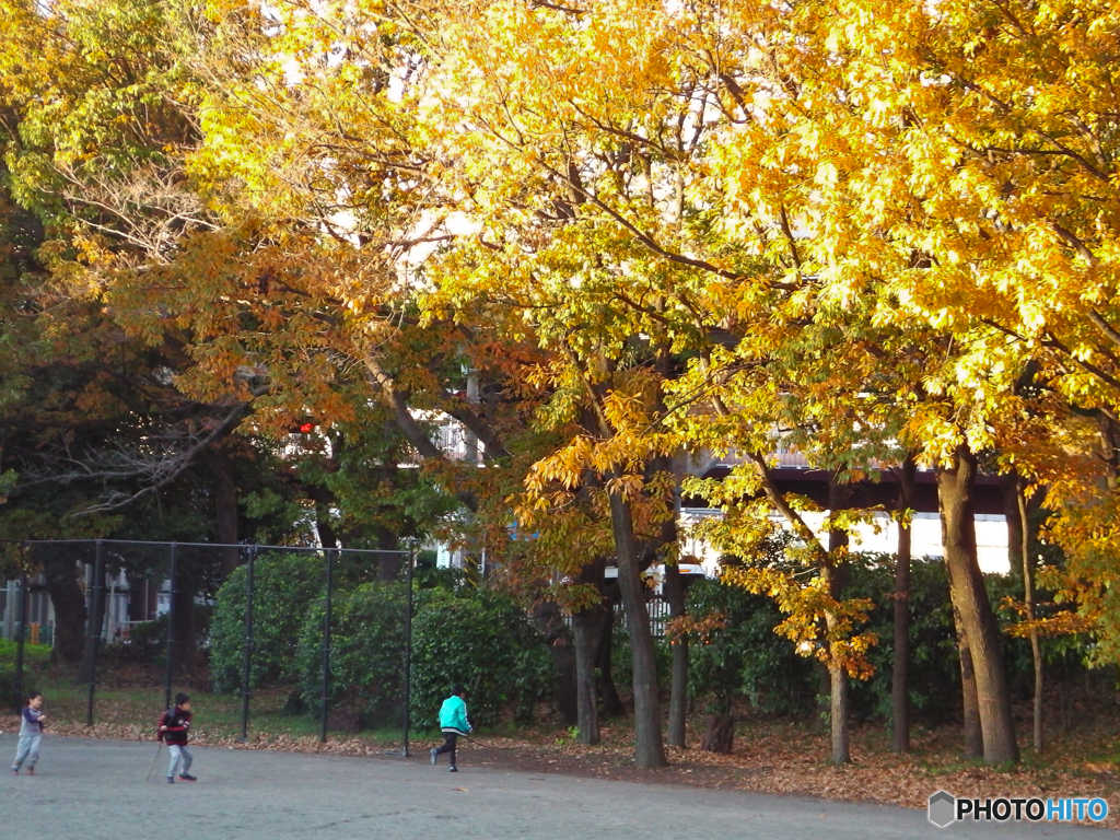 いちょおう、小学生だと思う