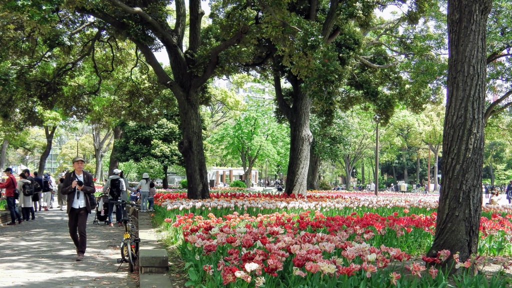 昨年の横浜公園より