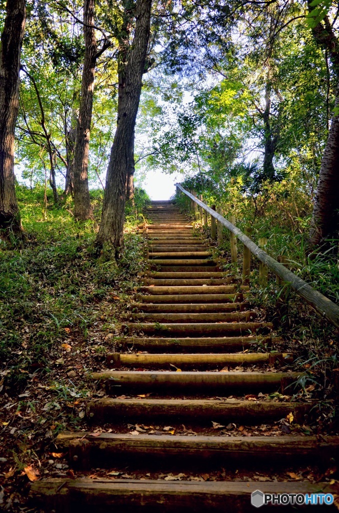 晩秋への階段