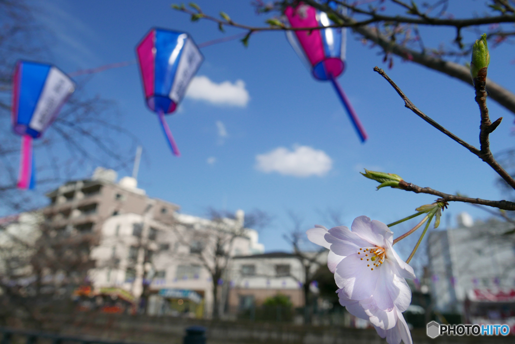 祭りの準備