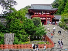 一応鶴岡八幡宮の写真