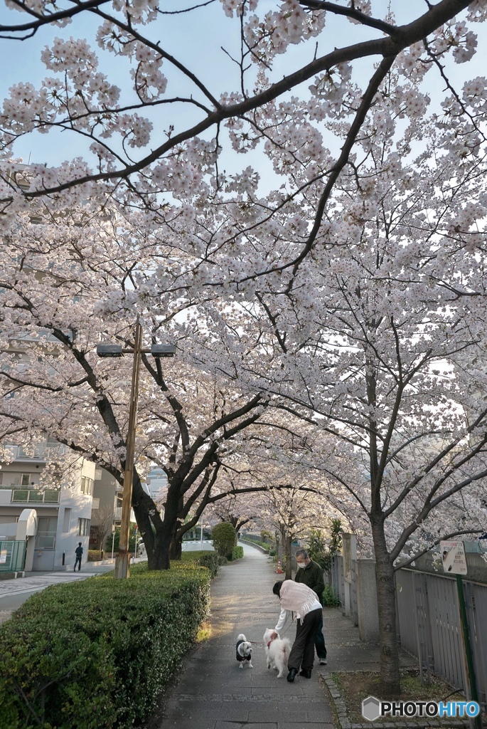 早朝のご挨拶