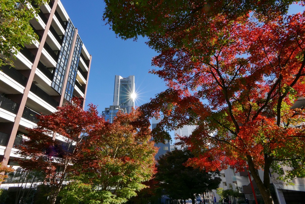 紅葉坂とランドマーク