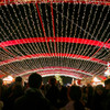 Shining ceiling