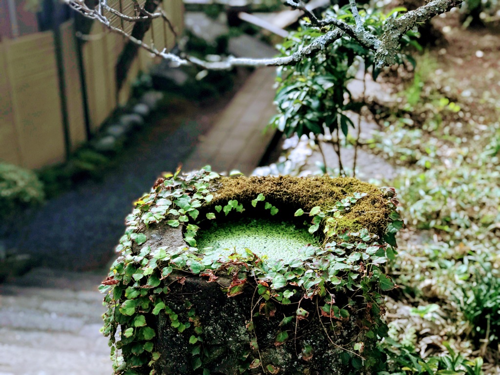 iPhoneでKamakura 19
