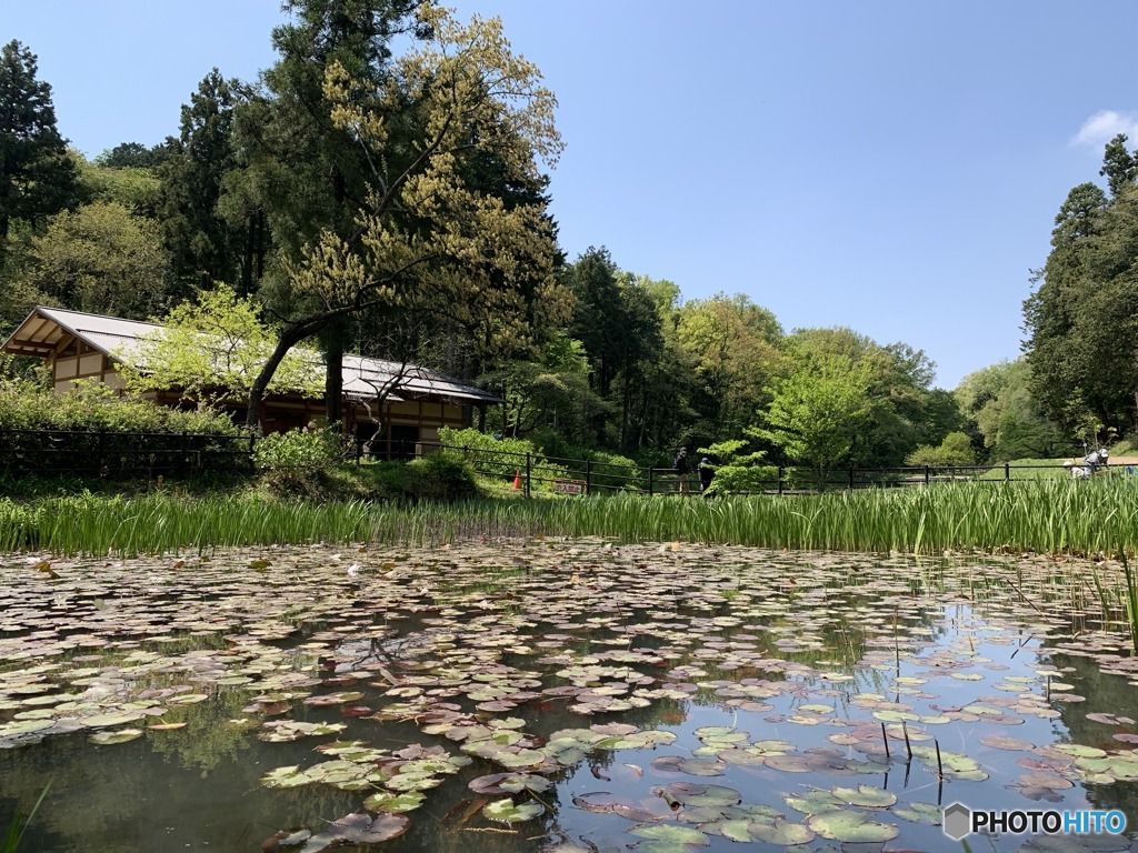 田園風景