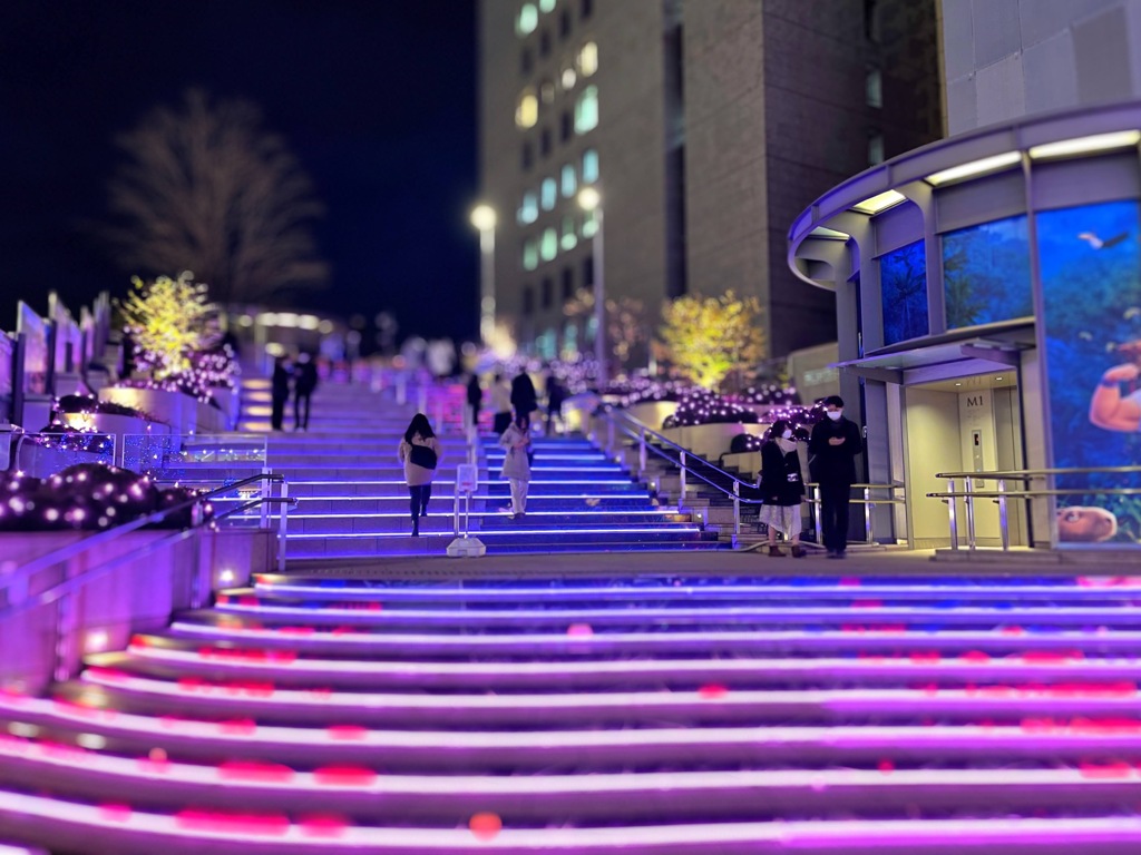 Purple stairs