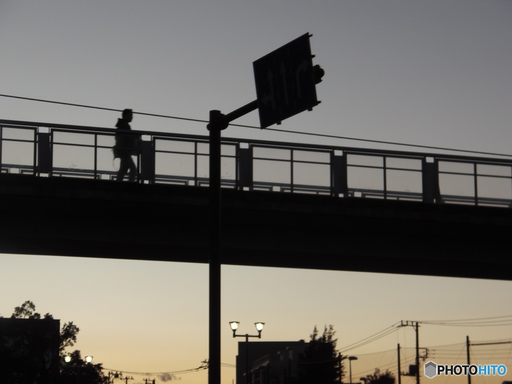 家路