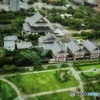 増上寺