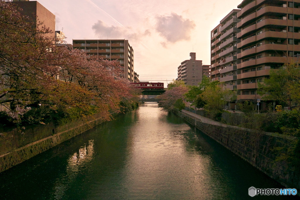 京急と夕陽