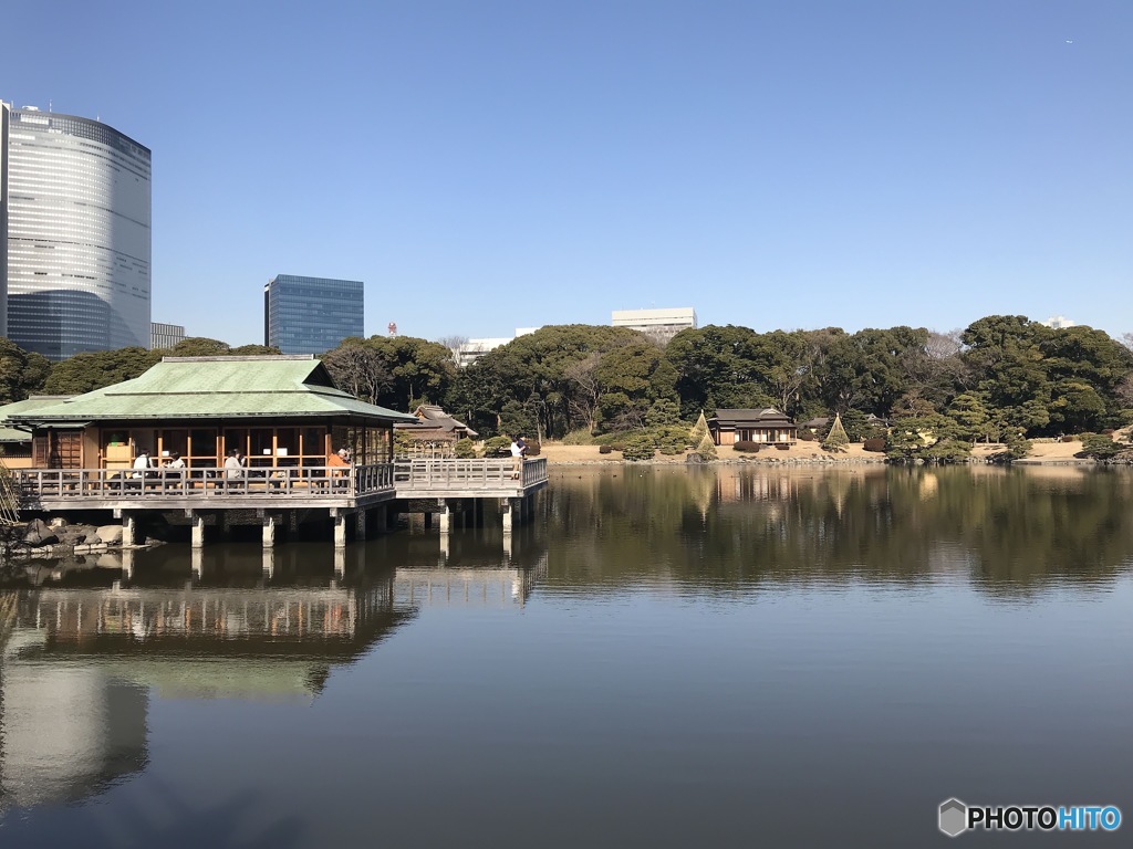 浜離宮にて