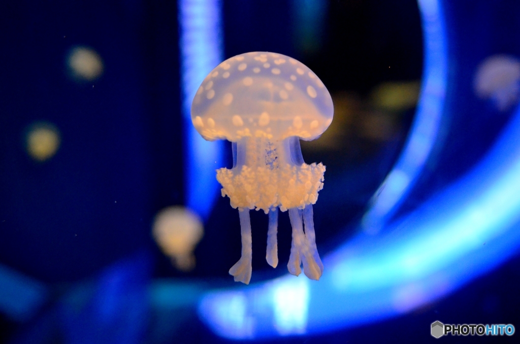 水族館-2.火星人