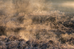 霜と気嵐の湿原