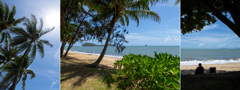 Palm Cove Beach④