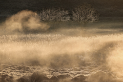 霧氷と川霧の舞