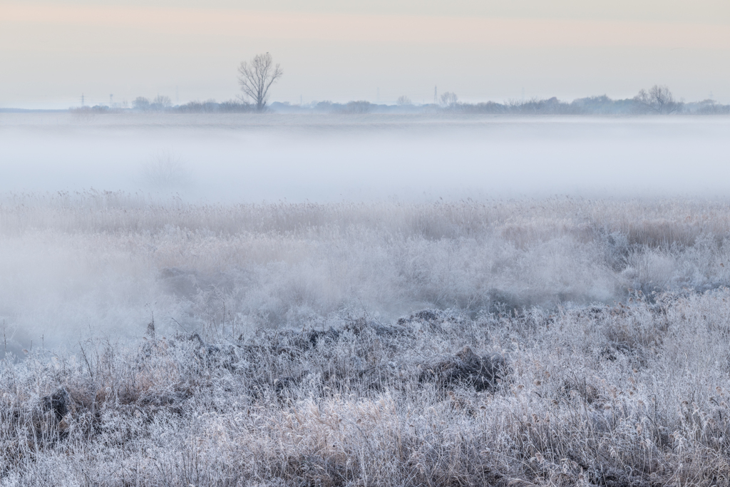 ミルキーリバー