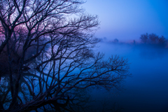 川霧の夜明け