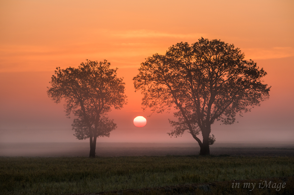 Lover`s Red Sun