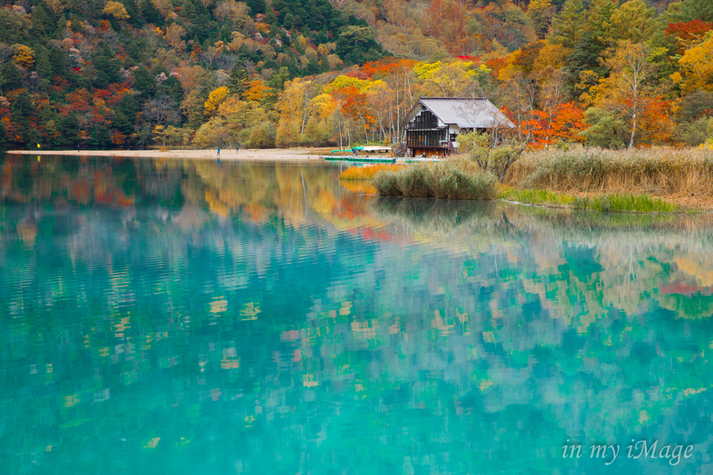 エメラルドな秋景