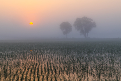 Lover`s Sunrise