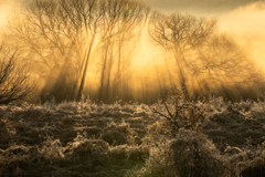 川霧のイリュージョン