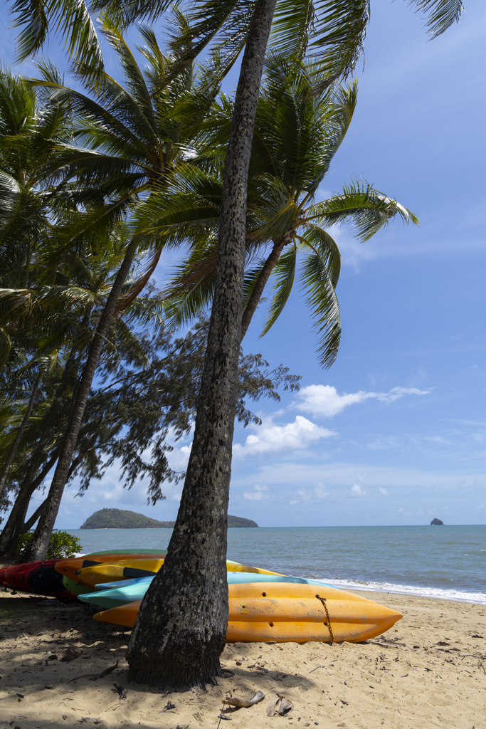 Palm Cove Beach③
