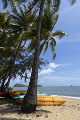 Palm Cove Beach③