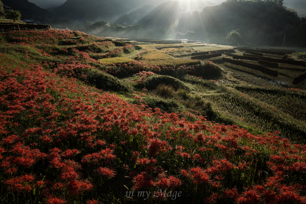 里山讃歌