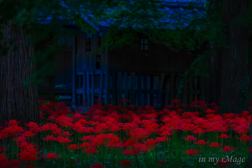 鎮魂の園