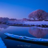 雪の華咲く水路