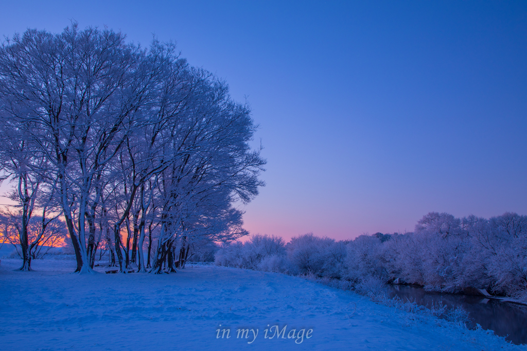 雪の夜が明けて