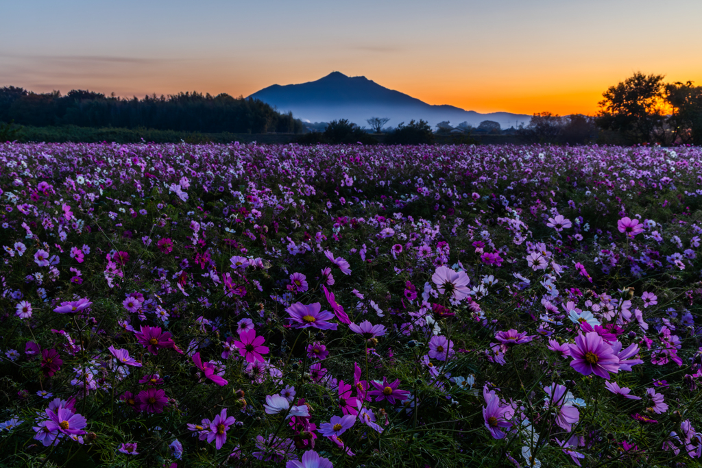 紫峰と紫の大地