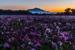 紫峰と紫の大地