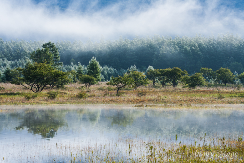 幻想の小田代湖