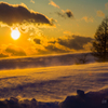 Blizzard Beauty