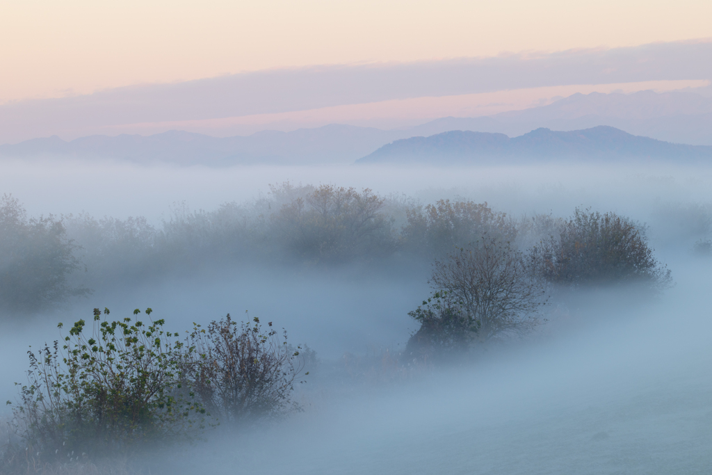 渡良瀬クリーミー雲海